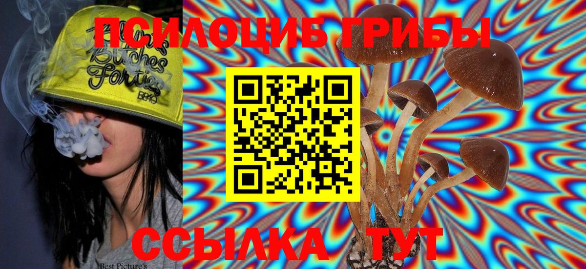 Галлюциногенные грибы Magic Shrooms Мытищи