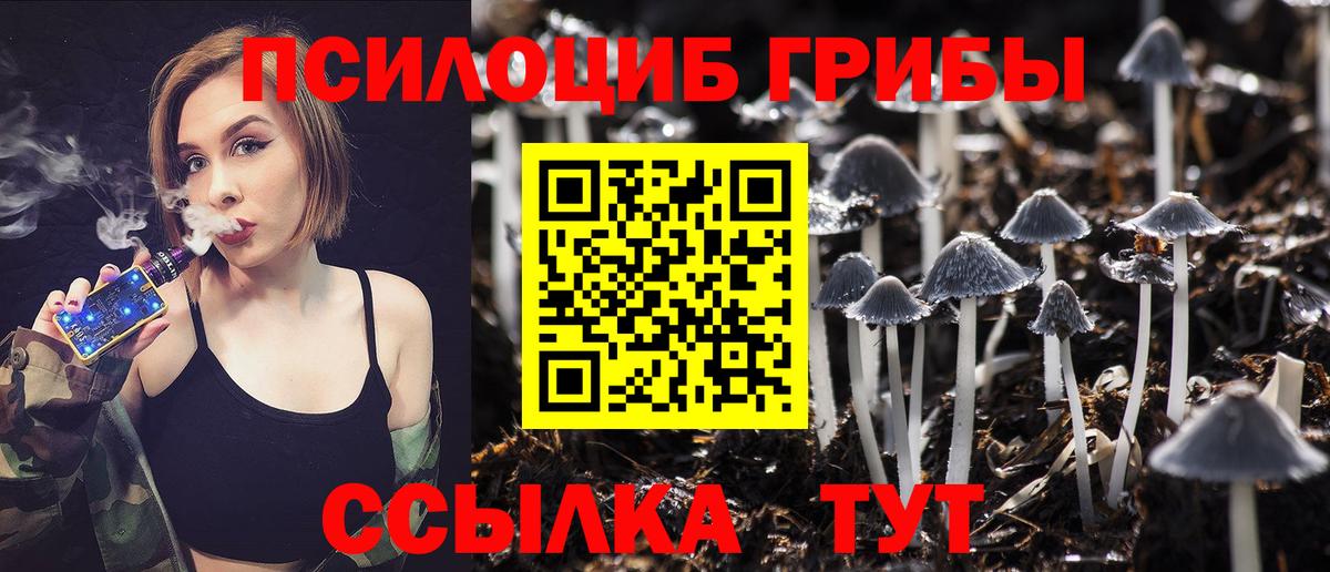 Псилоцибиновые грибы прущие грибы  Псилоцибиновые грибы Psilocybine cubensis  Вход с VPN  Мытищи 